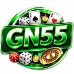 bn55-game