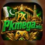 PKmega game