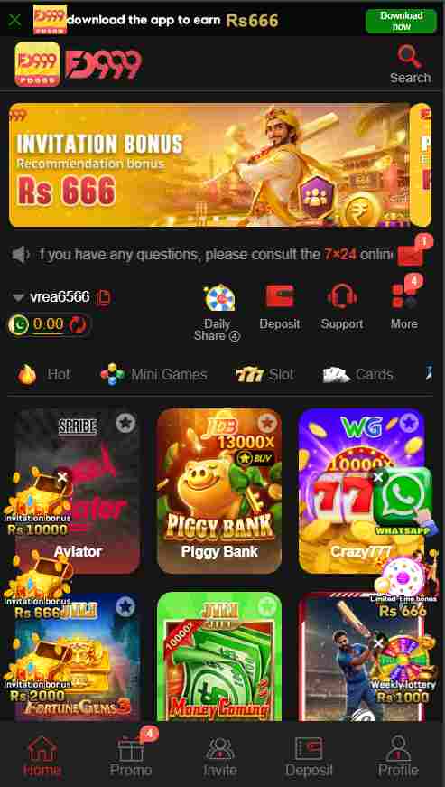 FD999 Game