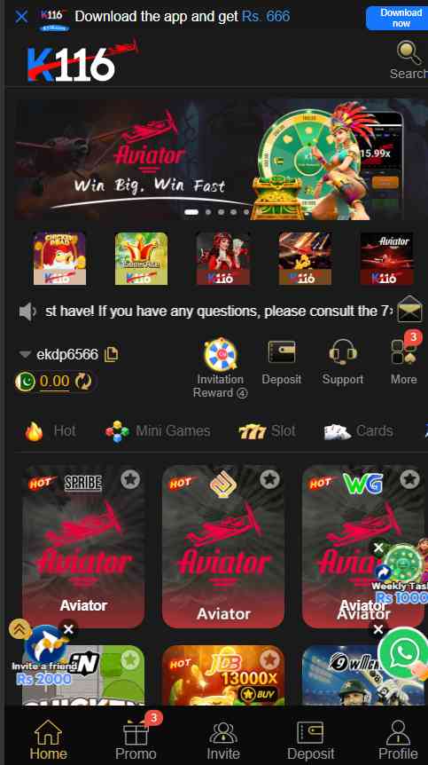 K116 Game